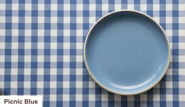 Picnic Blue